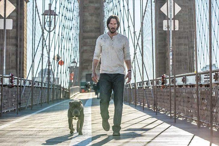 John Wick 3'teki köpekli sahnelerin sırrı ortaya çıktı G4