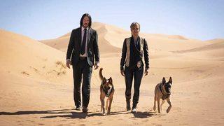 John Wick 3'teki köpekli sahnelerin sırrı ortaya çıktı