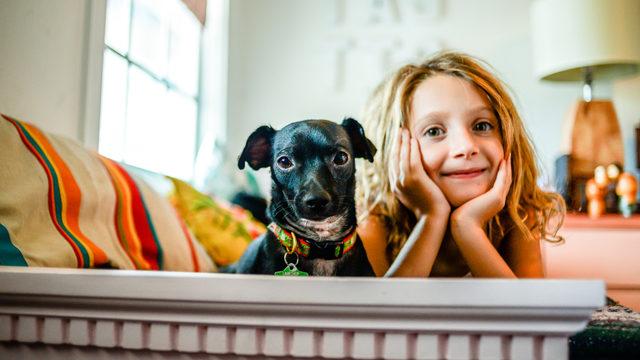 Köpekler çocukları neden ısırır? İşte çocuklara en çok saldıran köpek cinsleri