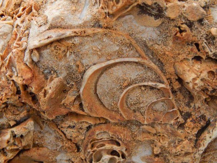 O ilimizde tesadüfen bulundu  G5