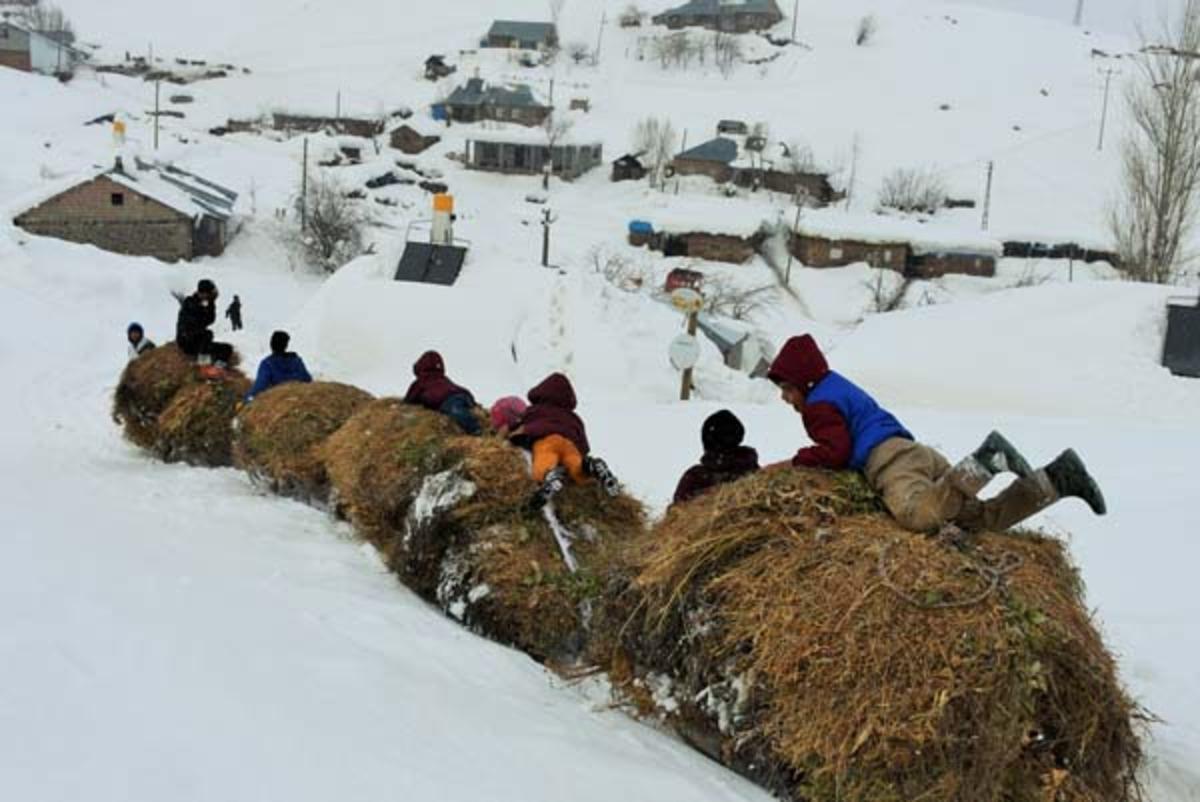 Kar-kış demeden kızaklarla dağlardan indiriyorlar 