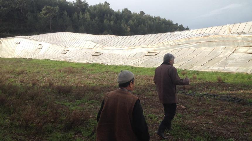 Mersin'de hortum gece yarısı vurdu! Seralar yerle bir oldu