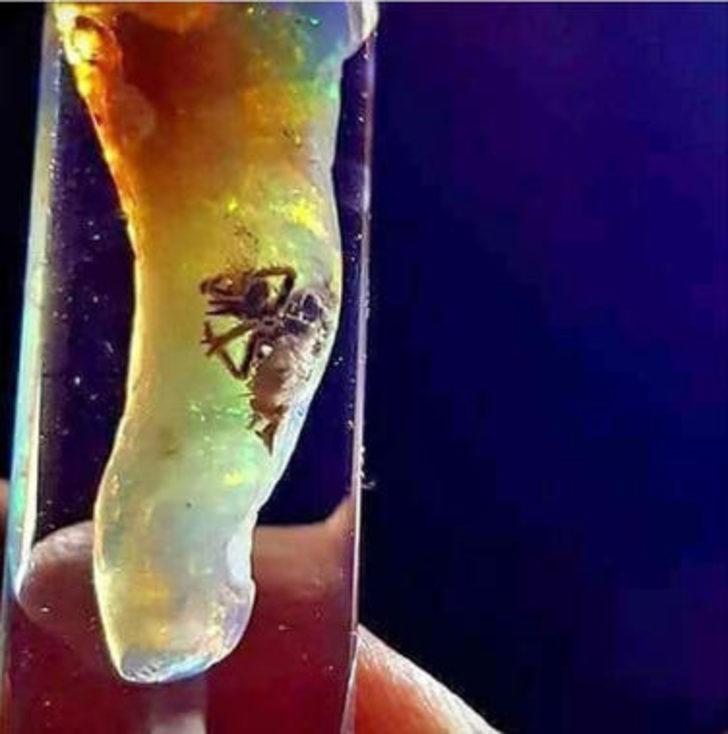 Dünyada yankı uyandıran keşif: Dinozorlar yeniden dünyaya gelebilir G4