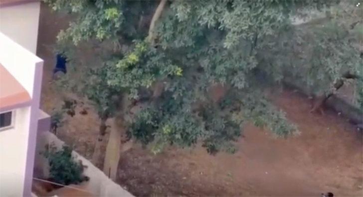 Çığlıkları kimse engelleyemedi! Dehşeti yaşadılar G1