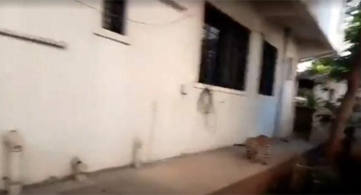 Çığlıkları kimse engelleyemedi! Dehşeti yaşadılar G3