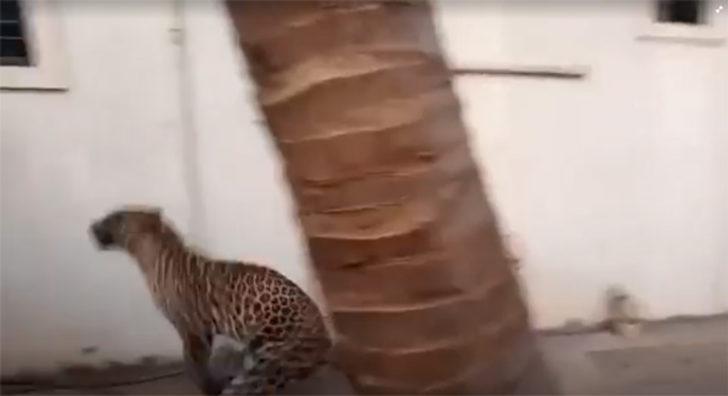 Çığlıkları kimse engelleyemedi! Dehşeti yaşadılar G4