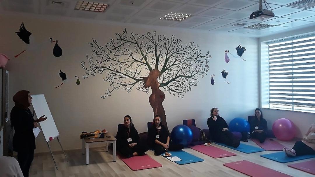 Kırklareli&rsquo;deki &rsquo;Gebe Okulu&rsquo; eğitimleri s&uuml;r&uuml;yor