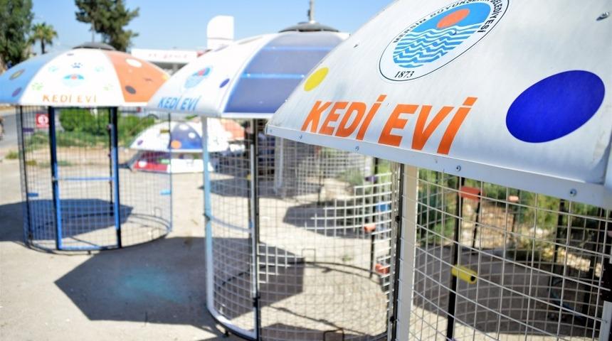 Devrek&rsquo;teki sokak hayvanları i&ccedil;in kedi evi bağışladılar