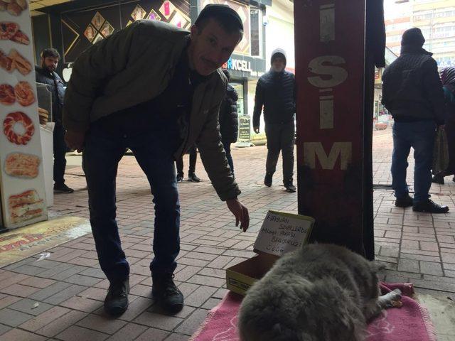 Sokak hayvanları için karton kutudan kumbara