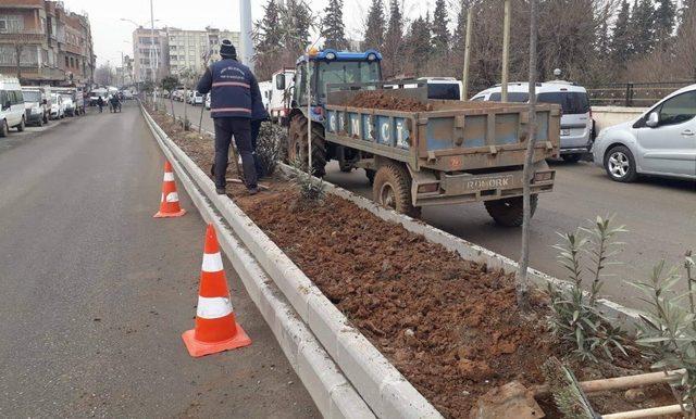 Belediyeden refüj çalışması