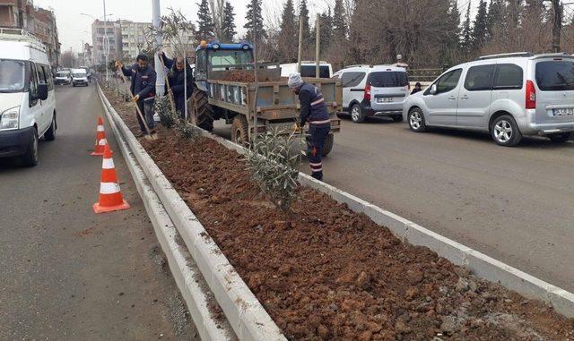 Belediyeden refüj çalışması