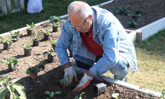 Kent Tarım’da yeni dönem kayıtları