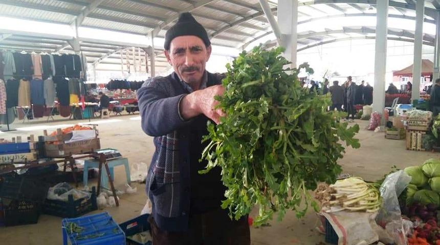 Hisarcık&rsquo;ta yeşil haşhaş otuna rağbet