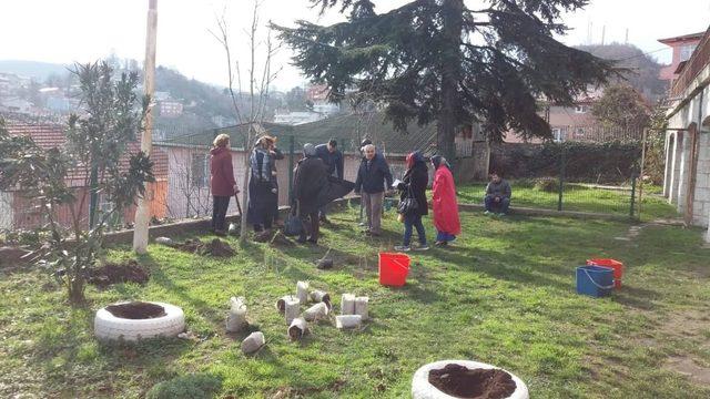 TRSM bahçesine biberiye, gül ve kriptomerya fidanları diktiler