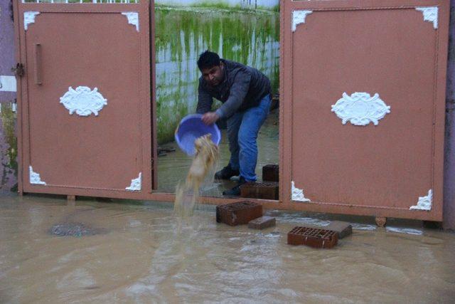 Acarlar yağmurla birlikte çamur deryasına döndü