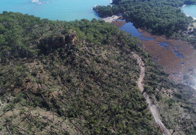 Antalya'da Buse'yi arama çalışmaları yeniden başladı (2)