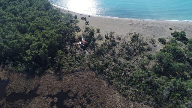 Antalya'da Buse'yi arama çalışmaları yeniden başladı (2)