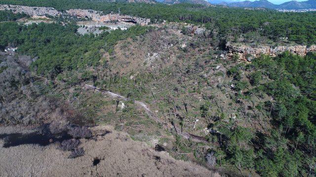 Antalya'da Buse'yi arama çalışmaları yeniden başladı (2)