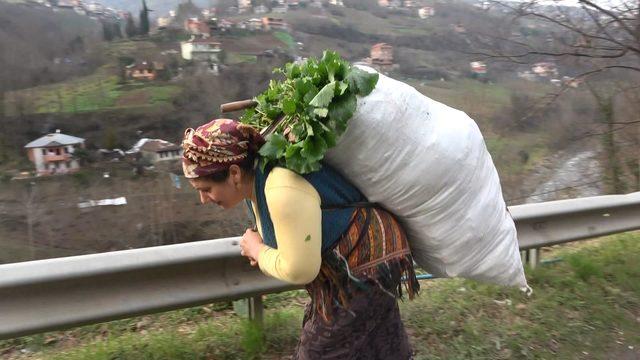 Karadenizli kadınlar, her mevsim çalışkan