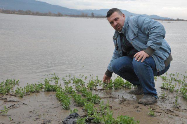 Büyük Menderes Nehri taştı, 5 bin dekar arazi su altında kaldı