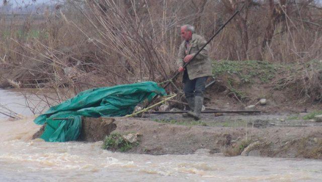 Büyük Menderes Nehri taştı, 5 bin dekar arazi su altında kaldı