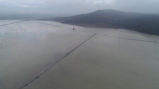 Menderes Nehri taştı, tarım arazileri göle döndü