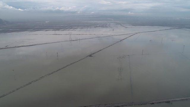 Menderes Nehri taştı, tarım arazileri göle döndü