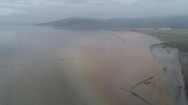 Menderes Nehri taştı, tarım arazileri göle döndü