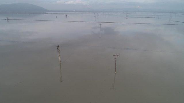 Menderes Nehri taştı, tarım arazileri göle döndü