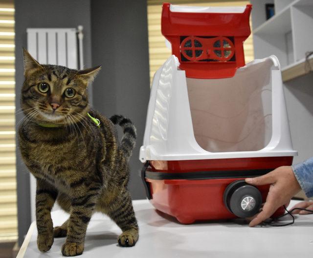 Yaptıkları 'kedi tuvaleti' için patent başvurusu yaptı