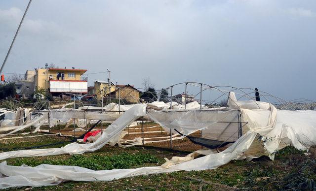 Serik'te hortum, ev ve iş yerleriyle seraları vurdu