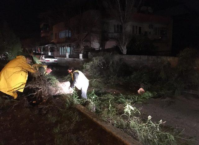 Aydın'da yağmur ve şiddetli rüzgar mesaisi