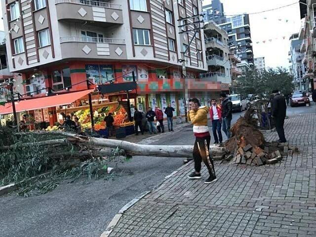 İzmir'de fırtına nedeniyle ağaçlar devrildi, çatılar uçtu, vapur seferleri iptal edildi