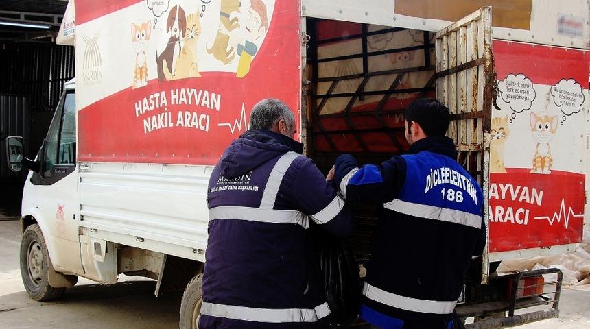 Dicle Elektrik&rsquo;ten &ouml;rnek davranış