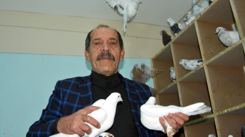 Beslediği g&uuml;vercinler i&ccedil;in yılda 50 bin lira harcama yapıyor