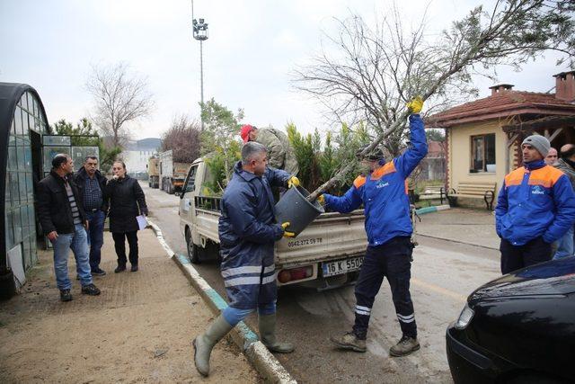 Nilüfer Belediyesi vatandaşlara fidan dağıttı