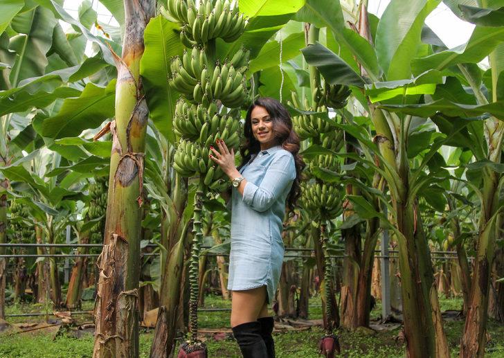 'Topuklu çiftçi'nin hedefi, yıllık 160 ton muz üretmek G3