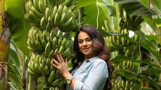 'Topuklu çiftçi'nin hedefi, yıllık 160 ton muz üretmek