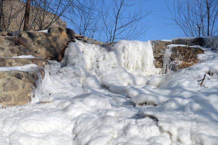 Kışın güzelliklerle dolu yüzü görenleri büyülüyor G1