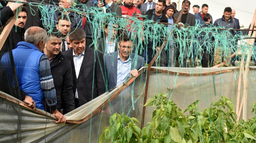 Antalya'da fırtına ve hortum felaketinin yaraları sarılıyor (2)