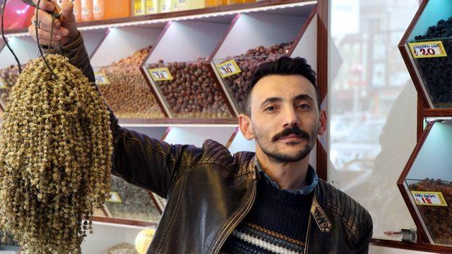 Bamya zamlardan etkilenmedi