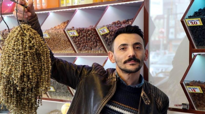 Bamya zamlardan etkilenmedi