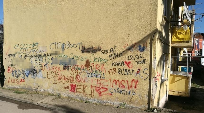 Sokakların güzelliği sprey boya ile kirletiliyor