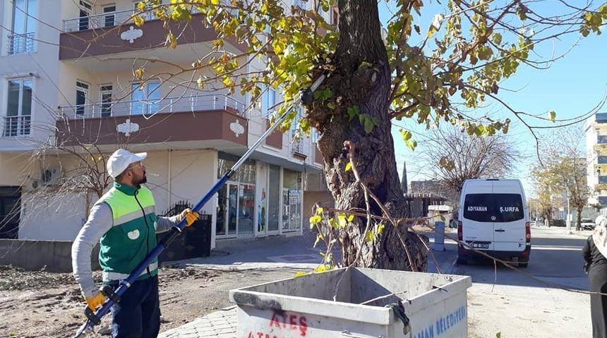 Adıyaman Belediyesinden ağa&ccedil;lara bakım