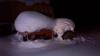 GÜNCELLEME - Yaylada mahsur kalanlar kurtarıldı
