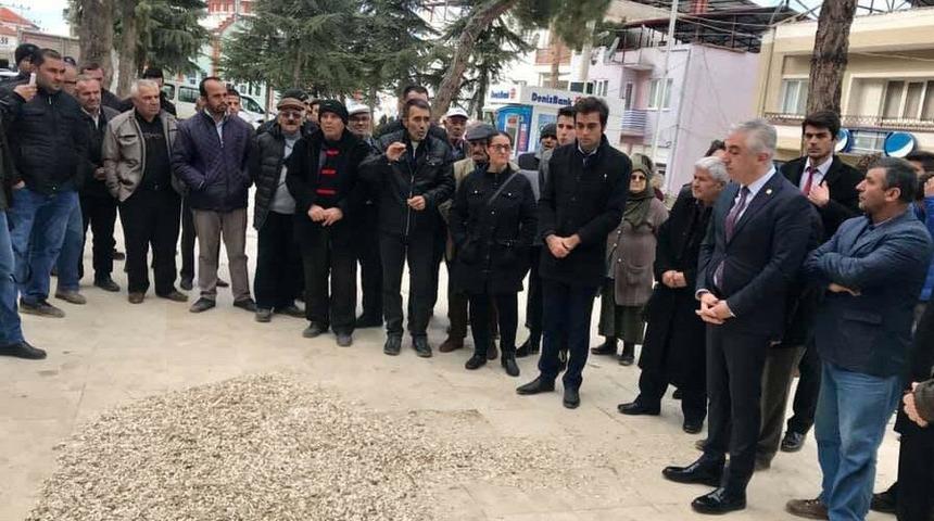 Çiftçilerden Çin çekirdeği tepkisi