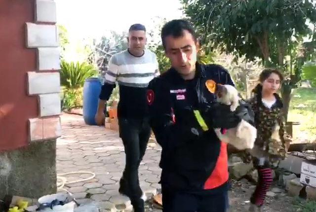 Adana'da başı duvardaki deliğe sıkışan kediyi itfaiye kurtardı