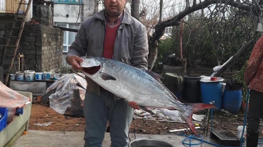 Fırtınanın ardından &ccedil;ıktığı avla y&uuml;z&uuml; g&uuml;ld&uuml;