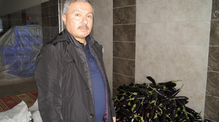 'Sebzedeki fiyat artışının nedeni sert geçen kış'