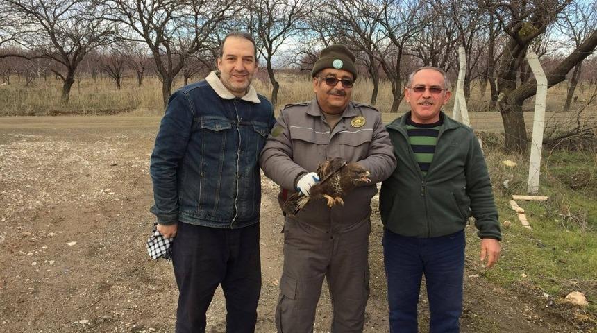 Konya&rsquo;da yaralı halde bulunan şahin koruma altında
